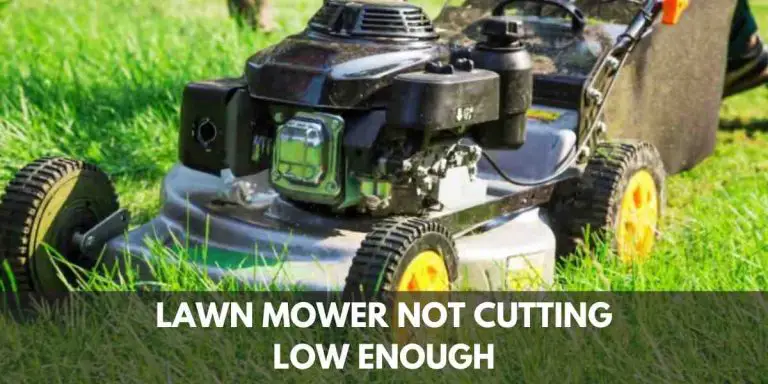 Lawn Mower Not Cutting Low Enough: Troubleshooting Tactics