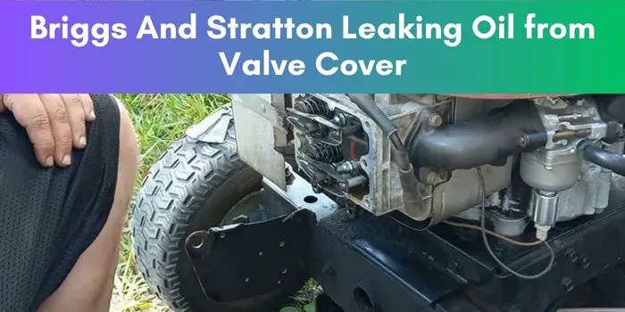Briggs And Stratton Leaking Oil from Valve Cover : Fix It Now