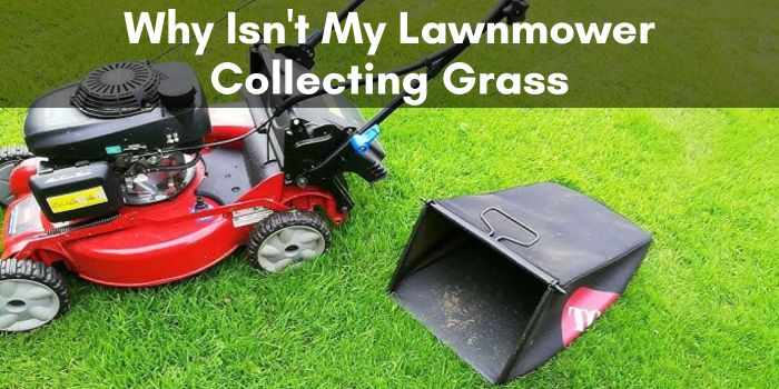 Why Isn't My Lawnmower Collecting Grass