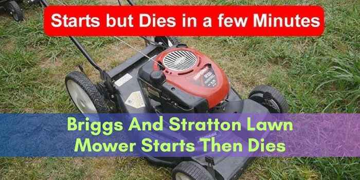 Briggs And Stratton Lawn Mower Starts Then Dies? Find the Fix